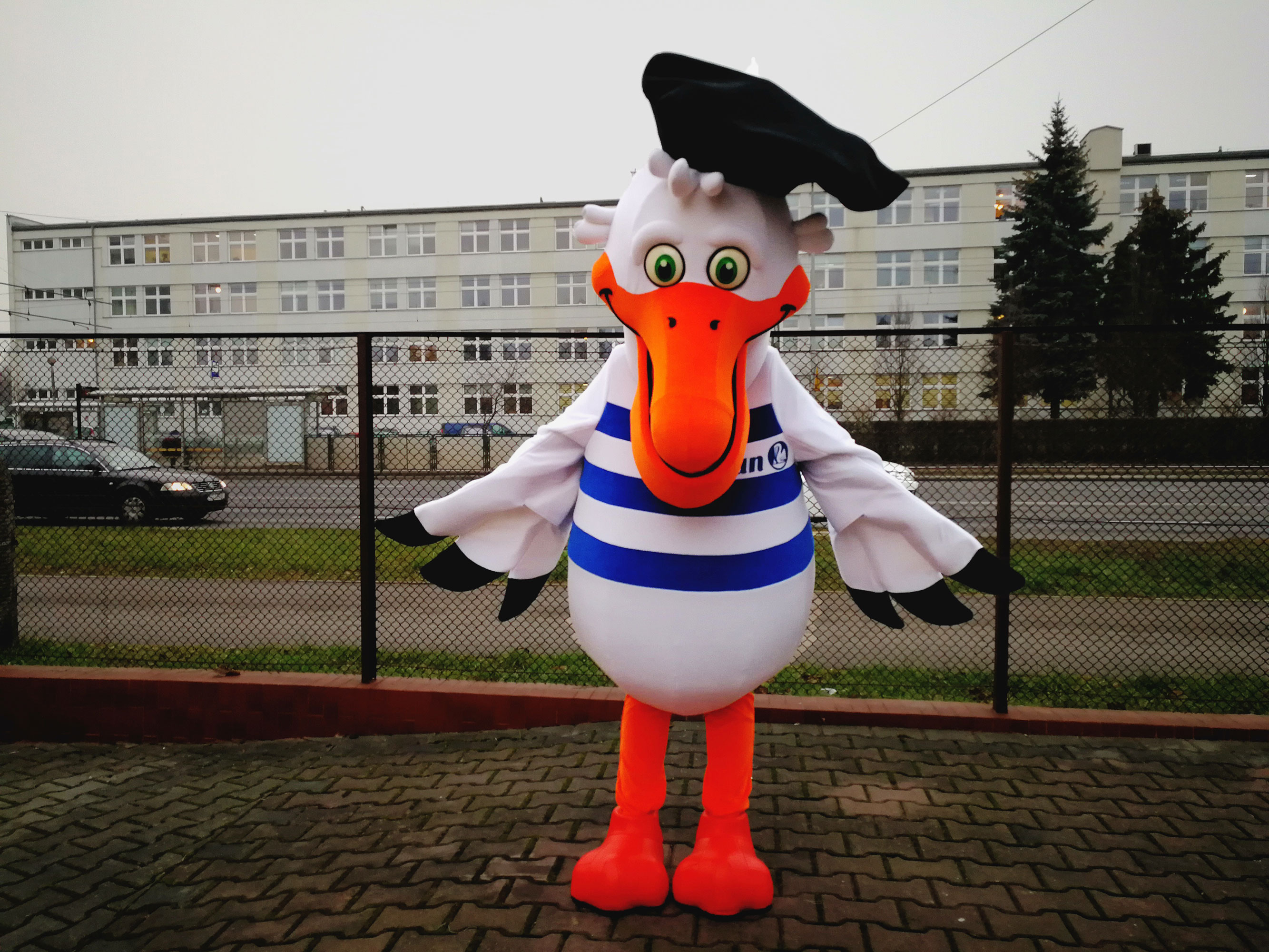 Czy wiecie, co to są intuicyjne stroje reklamowe Elabika? Pelikan